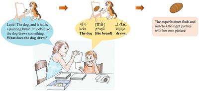 Prosodic focus marking in Seoul Korean-speaking children: the use of prosodic phrasing